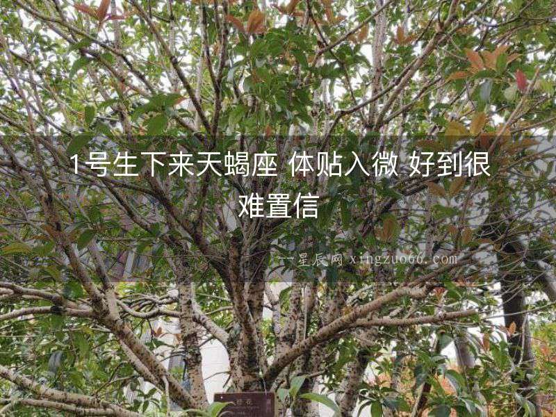 1號生下來天蝎座 體貼入微 好到很難置信