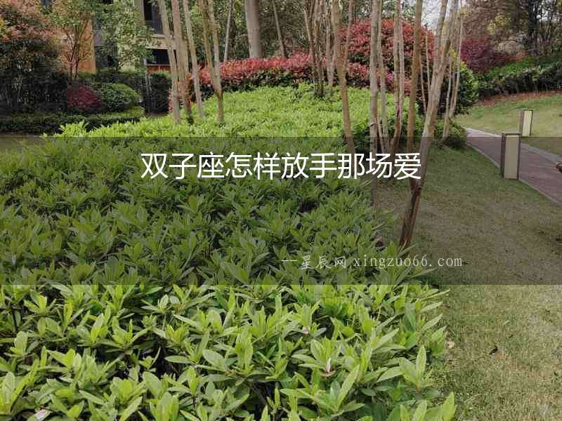 雙子座怎樣放手那場愛
