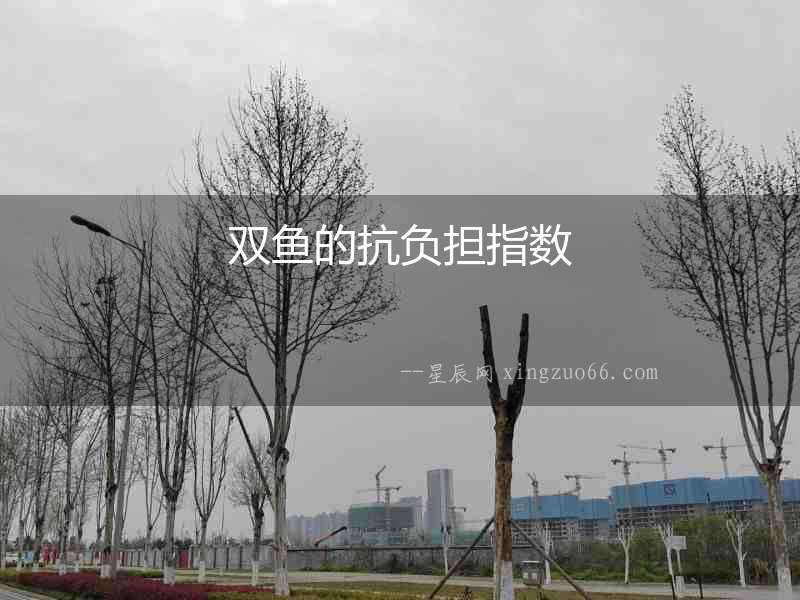 雙魚的抗負擔指數