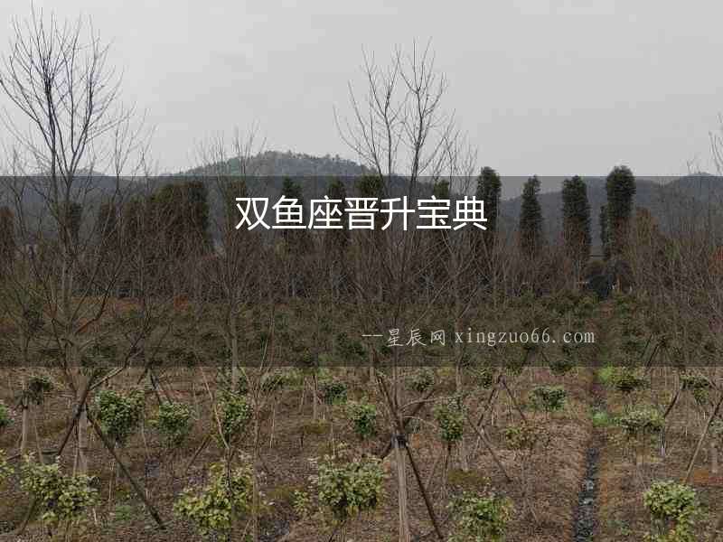 雙魚座晉升寶典