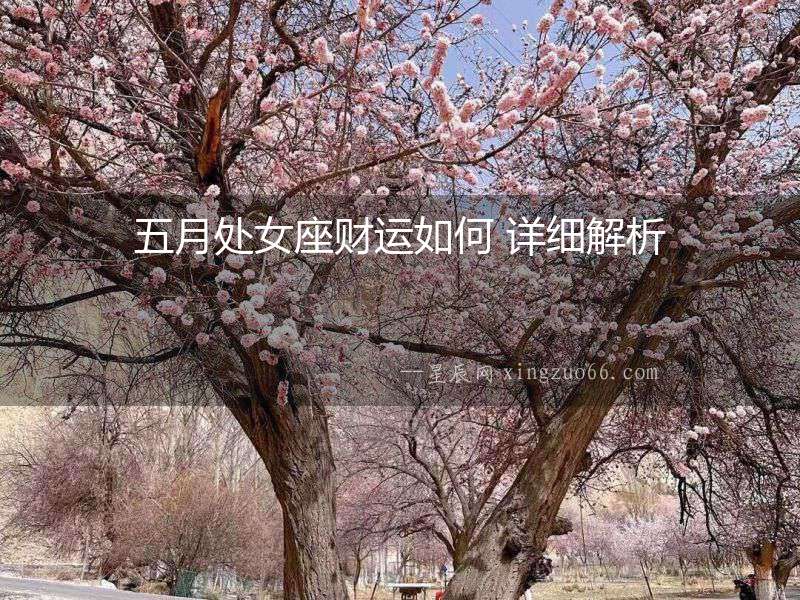 五月處女座財運如何 詳細解析