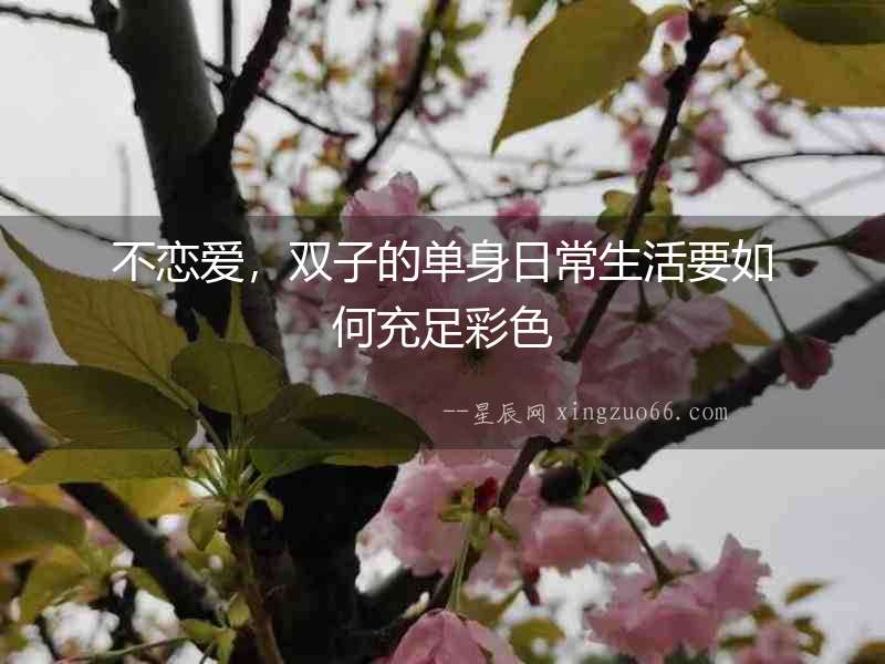 不戀愛，雙子的單身日常生活要如何充足彩色
