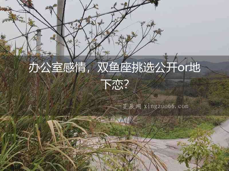 辦公室感情，雙魚座挑選公開or地下戀？