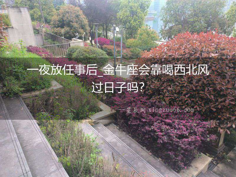 一夜放任事后_金牛座會靠喝西北風(fēng)過日子嗎？
