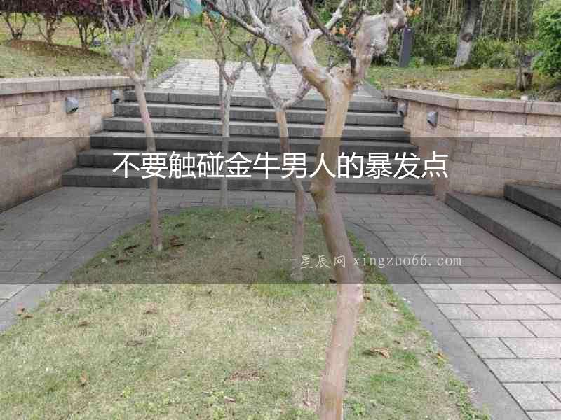 不要觸碰金牛男人的暴發點