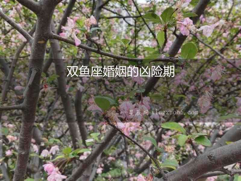 雙魚座婚姻的兇險期