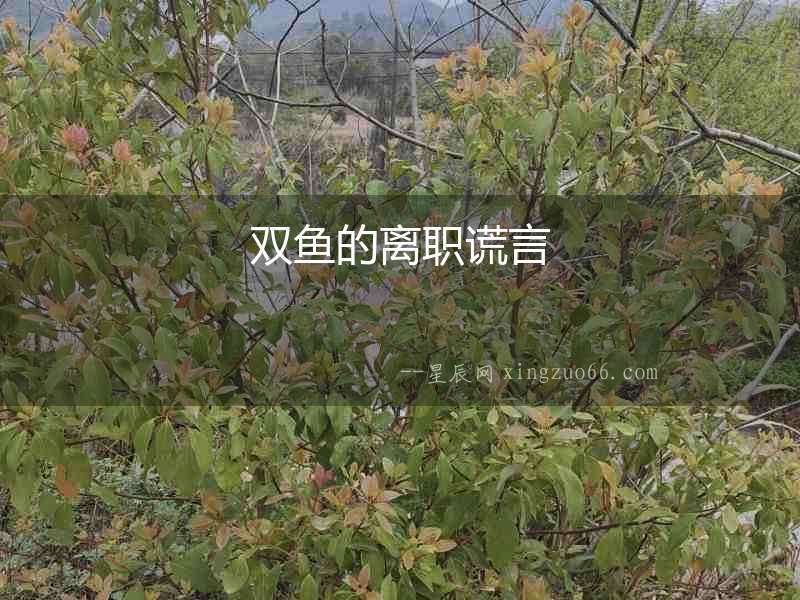 雙魚的離職謊言