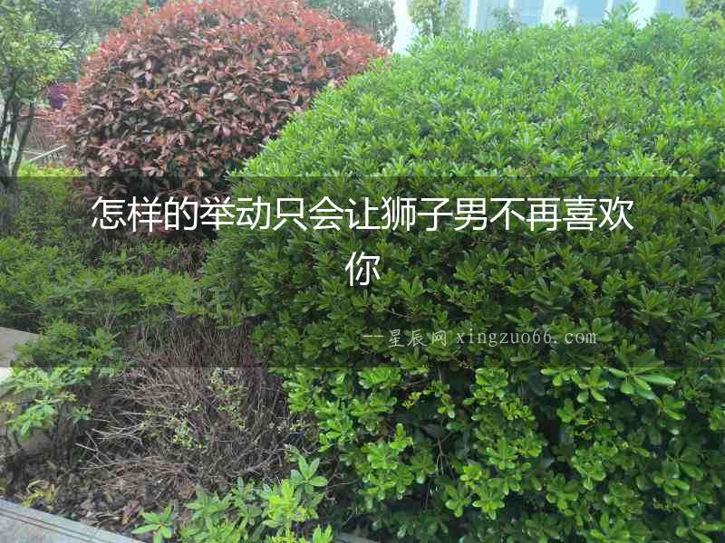 怎樣的舉動(dòng)只會(huì)讓獅子男不再喜歡你