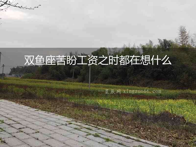 雙魚座苦盼工資之時都在想什么