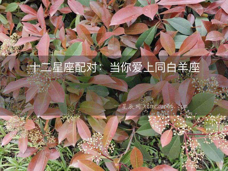 十二星座配對：當(dāng)你愛上同白羊座