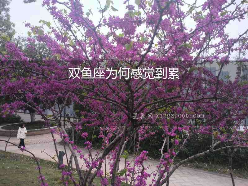 雙魚座為何感覺到累