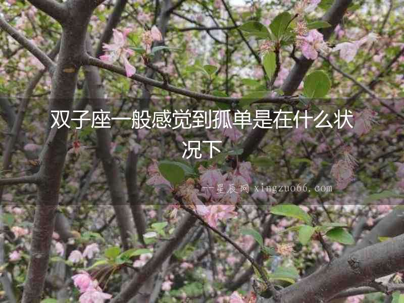 雙子座一般感覺到孤單是在什么狀況下