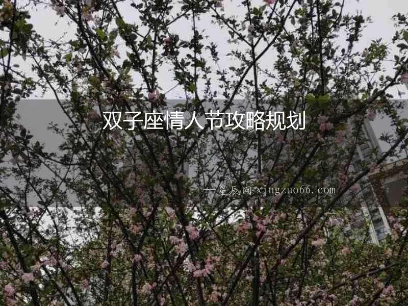 雙子座情人節攻略規劃