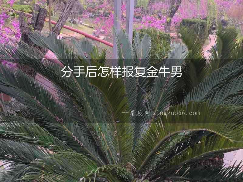 分手后怎樣報復金牛男