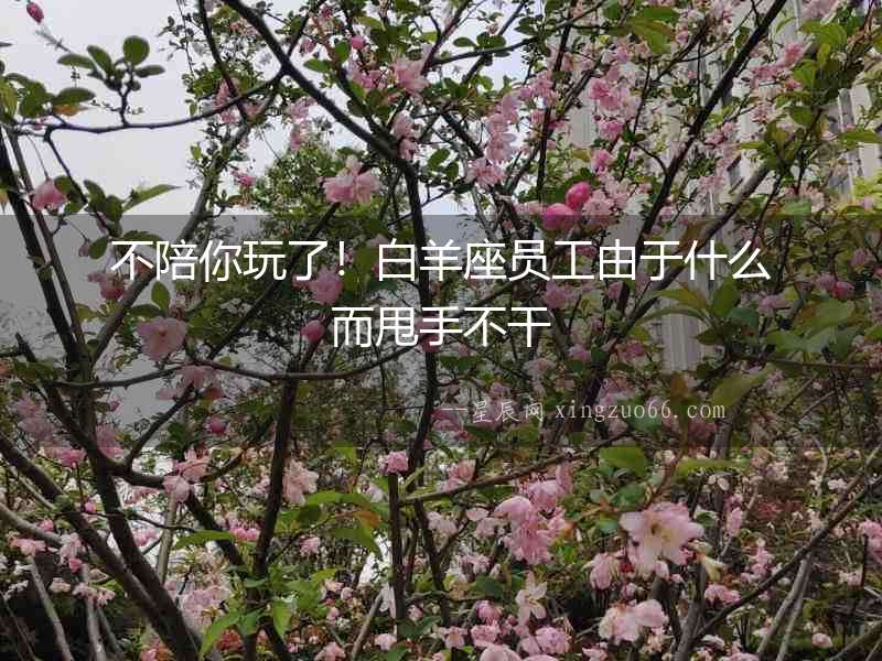 不陪你玩了！白羊座員工由于什么而甩手不干