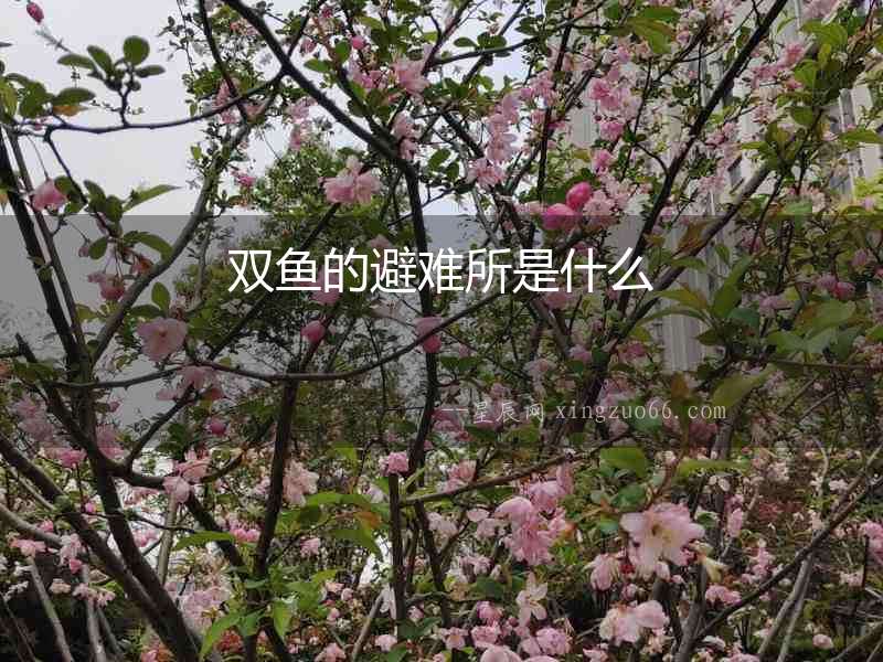 雙魚的避難所是什么