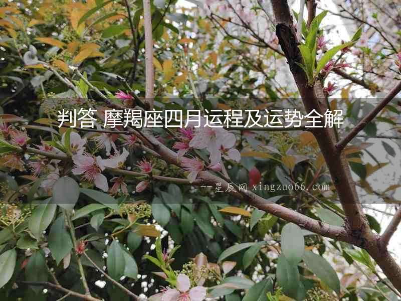 判答 摩羯座四月運(yùn)程及運(yùn)勢(shì)全解