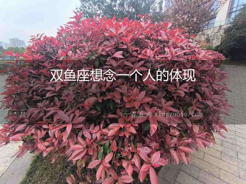 雙魚(yú)座想念一個(gè)人的體現(xiàn)