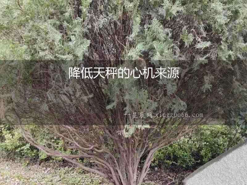 降低天秤的心機來源