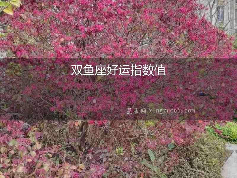 雙魚座好運指數(shù)值