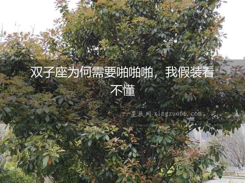雙子座為何需要啪啪啪，我假裝看不懂