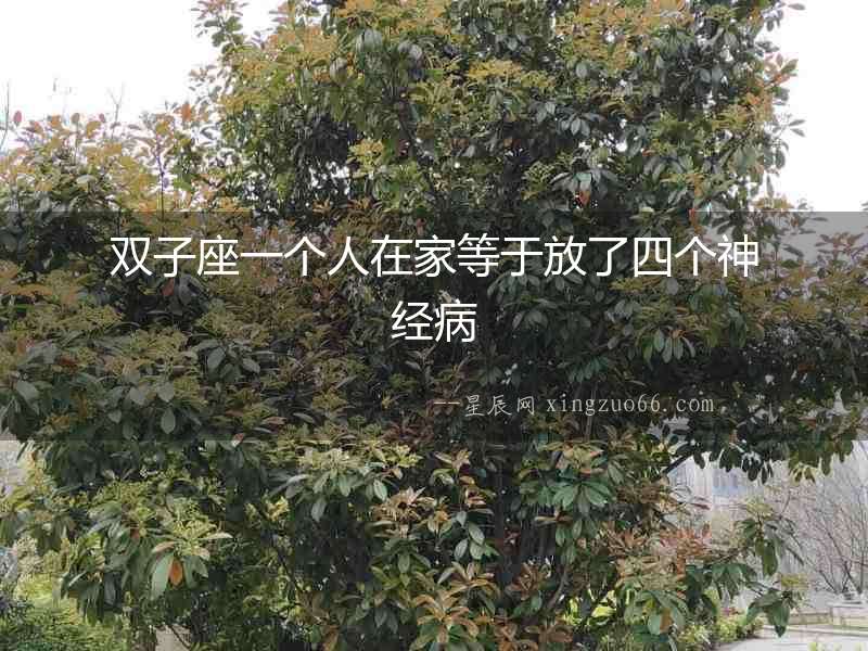 雙子座一個人在家等于放了四個神經病