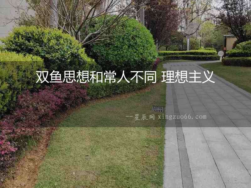 雙魚思想和常人不同 理想主義