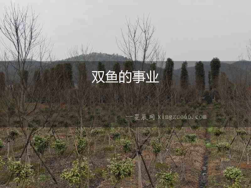 雙魚的事業