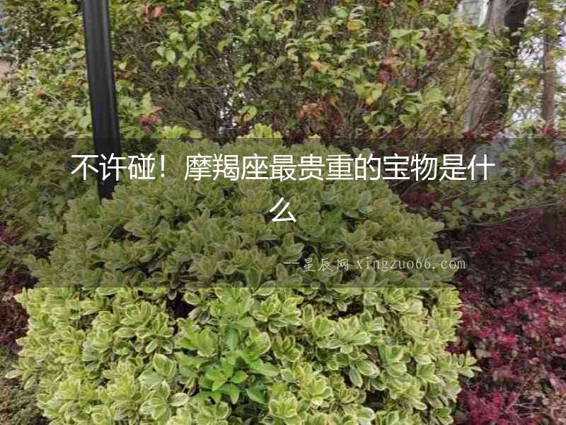 不許碰！摩羯座最貴重的寶物是什么