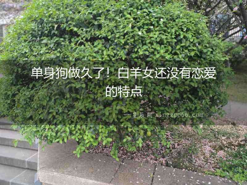 單身狗做久了！白羊女還沒有戀愛的特點