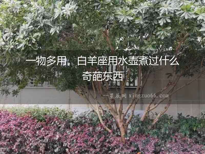 一物多用，白羊座用水壺煮過什么奇葩東西