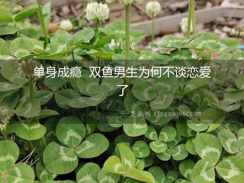 單身成癮  雙魚男生為何不談戀愛了