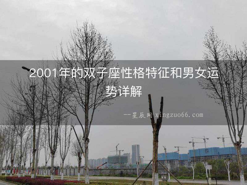 2001年的雙子座性格特征和男女運勢詳解