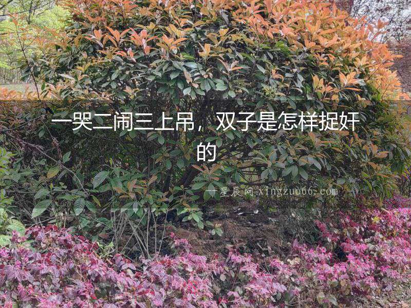 一哭二鬧三上吊，雙子是怎樣捉奸的