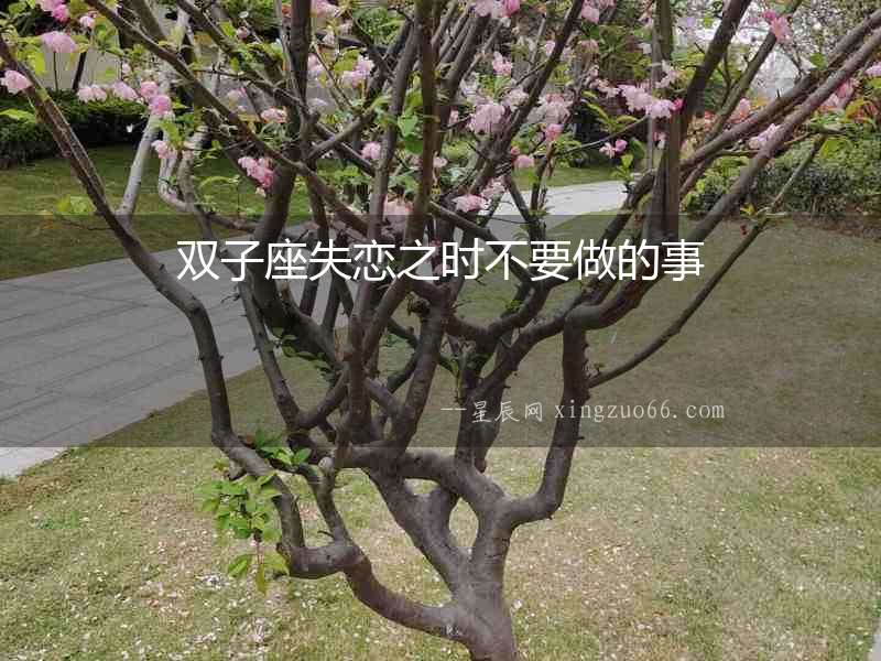 雙子座失戀之時不要做的事