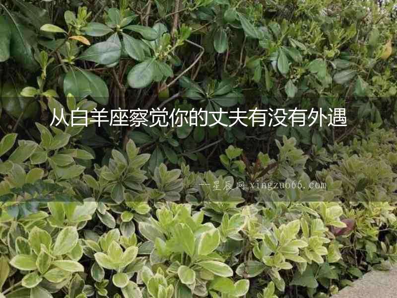 從白羊座察覺你的丈夫有沒有外遇
