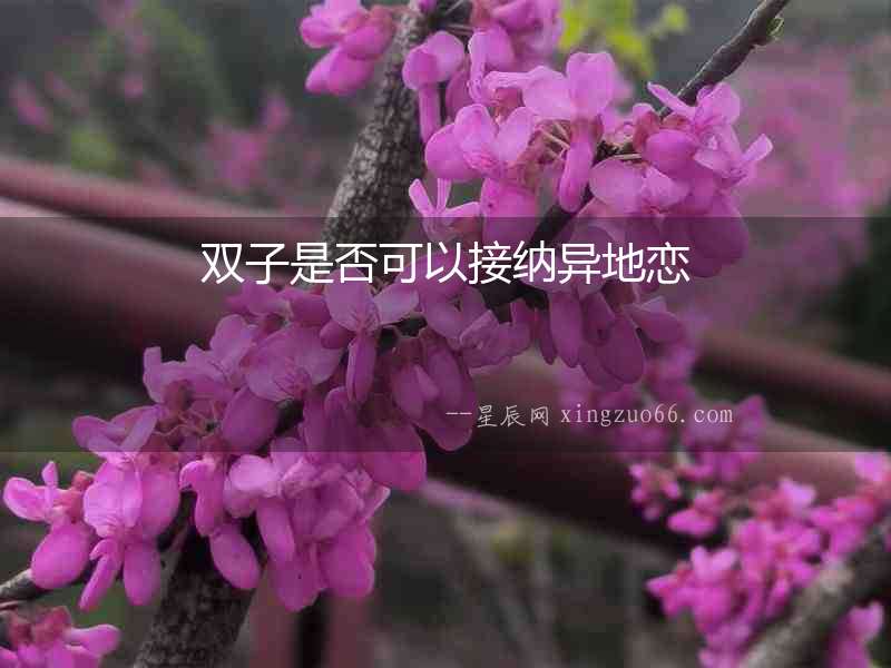雙子是否可以接納異地戀