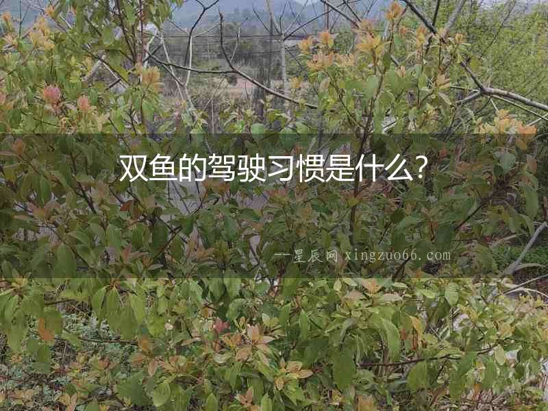 雙魚的駕駛習慣是什么？