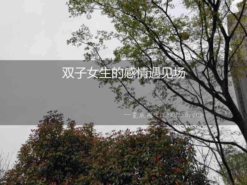 雙子女生的感情遇見場