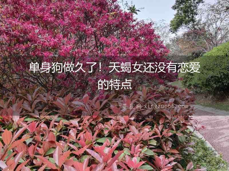 單身狗做久了！天蝎女還沒有戀愛的特點