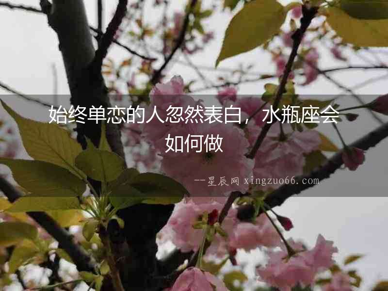 始終單戀的人忽然表白，水瓶座會如何做