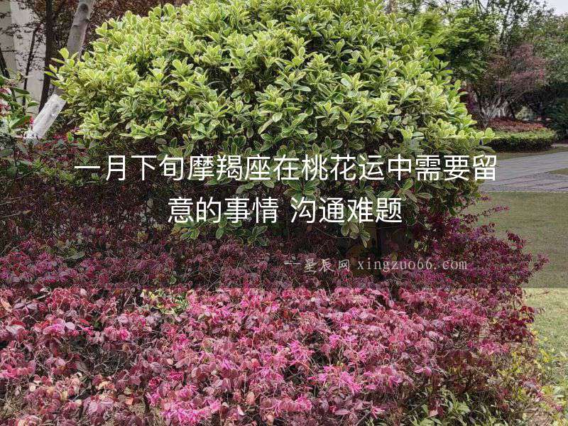 一月下旬摩羯座在桃花運中需要留意的事情 溝通難題