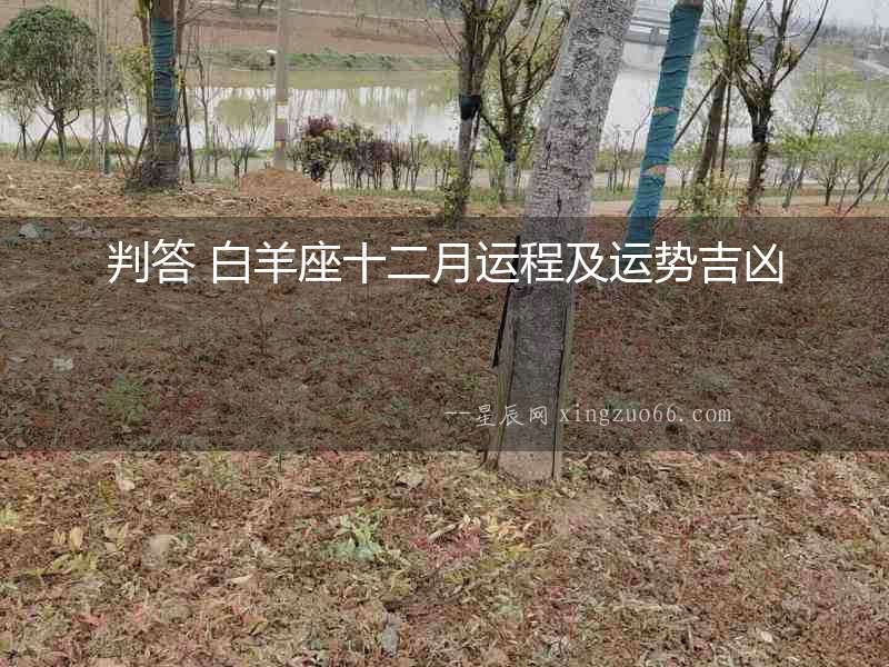判答 白羊座十二月運程及運勢吉兇