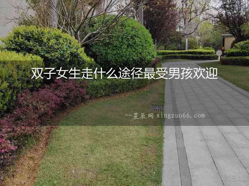 雙子女生走什么途徑最受男孩歡迎
