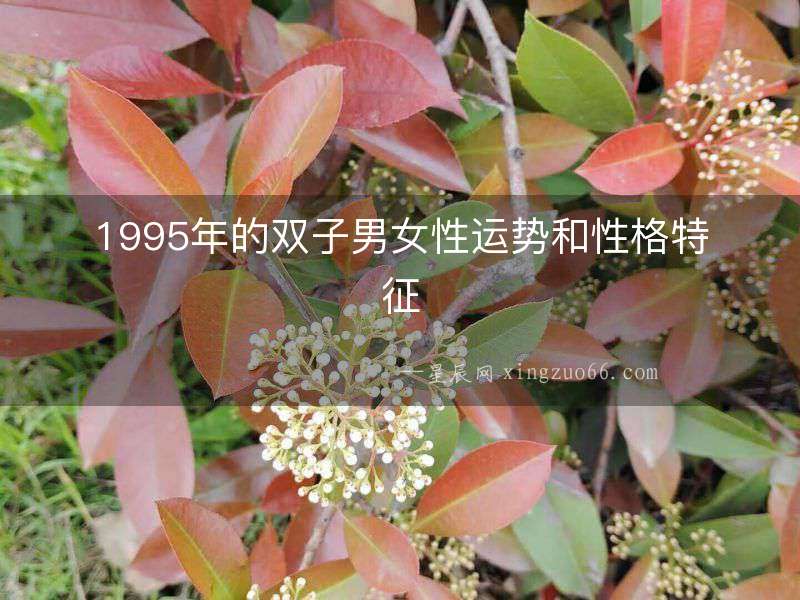 1995年的雙子男女性運勢和性格特征