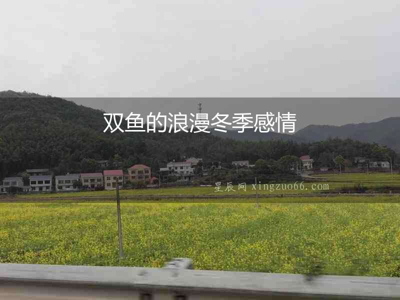 雙魚的浪漫冬季感情