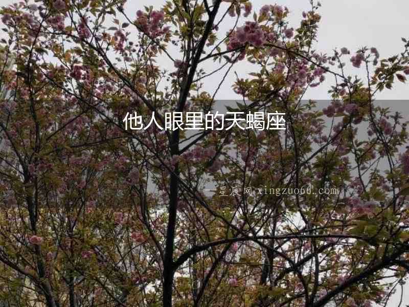 他人眼里的天蝎座