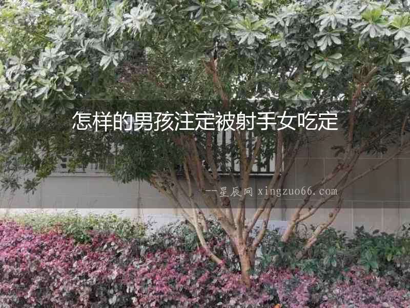 怎樣的男孩注定被射手女吃定