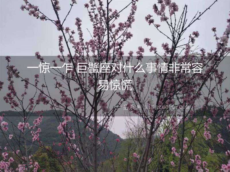 一驚一乍 巨蟹座對什么事情非常容易驚慌