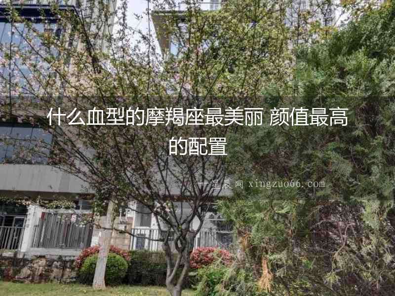 什么血型的摩羯座最美麗 顏值最高的配置